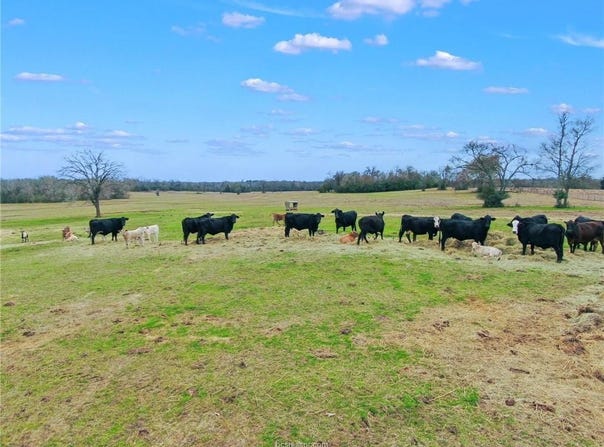 Tbd Pleasant Grove Road, Iola, TX 77861