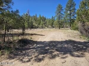 3326 Black Canyon Road, Heber, AZ 85928