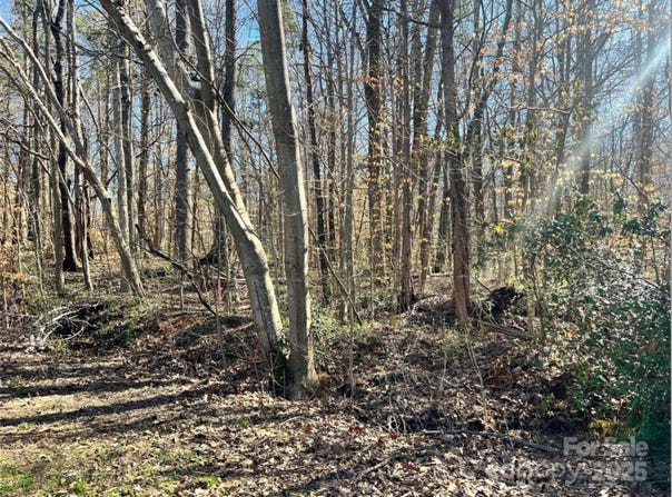 01 Lurecliff Place, Fort Mill, SC 29708