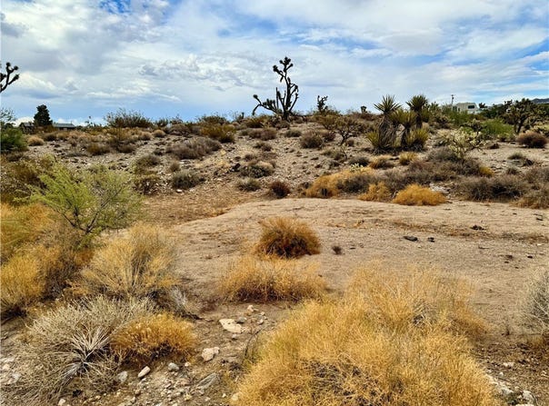 319-13-356 Kingman Drive, Dolan Springs, AZ 86441