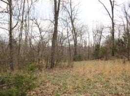 Dogwood Drive lot: 24, Omaha, AR 72662
