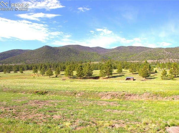 43 Stoll Circle, Lake George, CO 80827