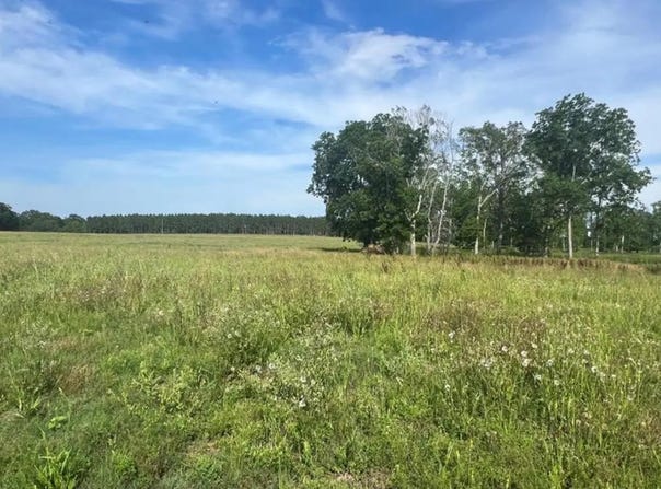 2288 J Saunders Rd, Dothan, AL 36305