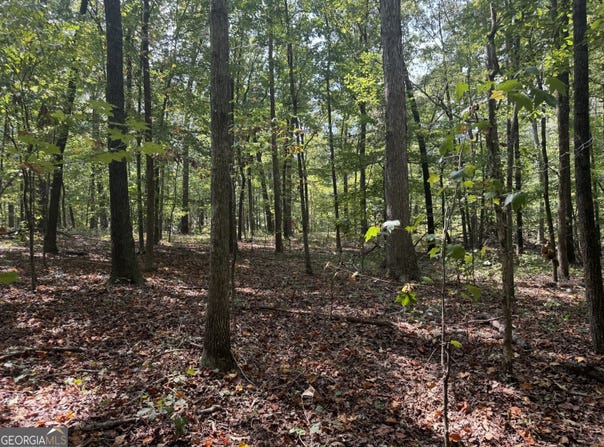348 Pat Rich, Canton, GA 30115