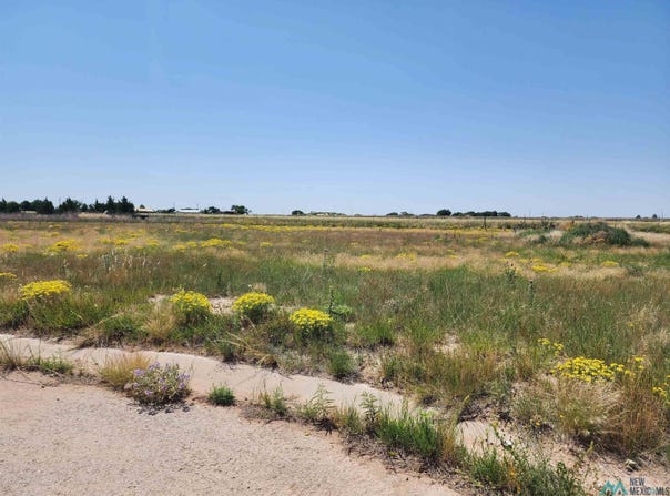1821 Quail-Wood Drive, Portales, NM 88130