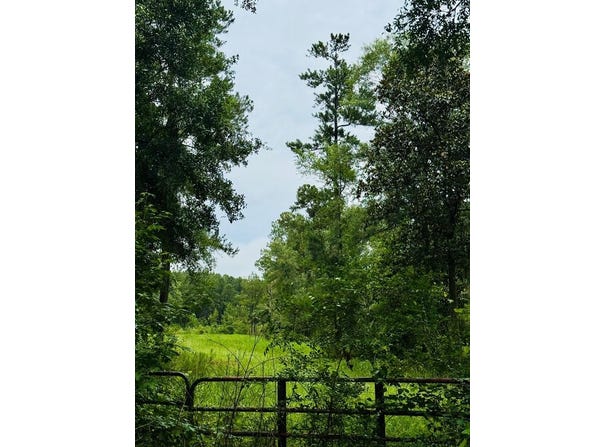 Devane Road, Quitman, GA 31643