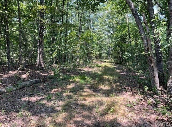 000 Elk Head Road, Bland, MO 65014