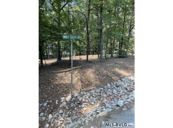 Holly Grove Lane lot: Parcel B, Bracey, VA 23919