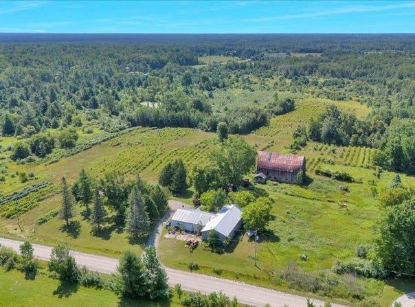 6609 Slosser Road, Hale, MI 48739