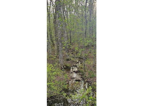 Lot 7 E Overlook rd, MONTEREY, TN 38574