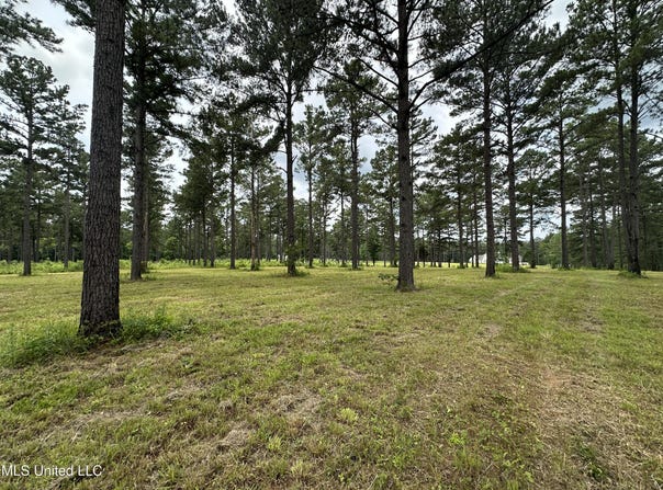 Hidden Pines Lane, Flora, MS 39071