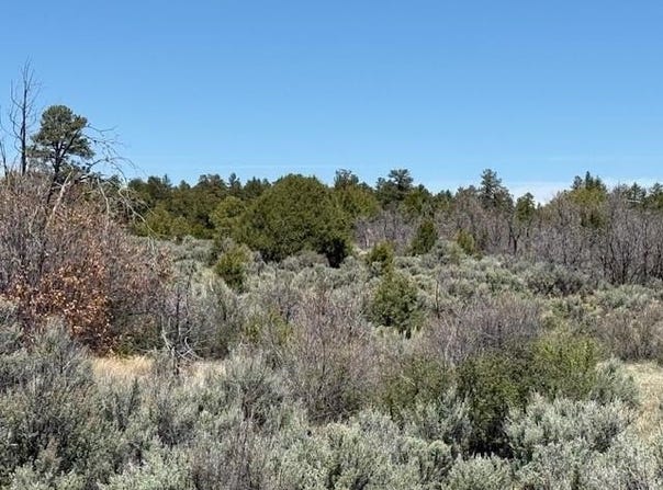 Tbd Calle del Cuervo, Tres Piedras, NM 87577