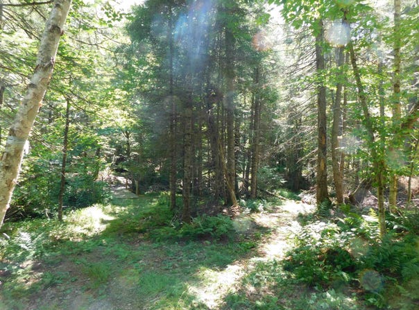 Cloutiers Loop, Pittsburg, NH 03592