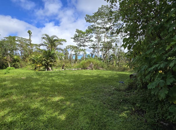 KAPUNA RD, Pahoa, HI 96778