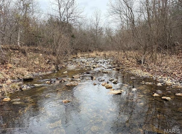 Tract 2 Madison 248, Fredericktown, MO 63645