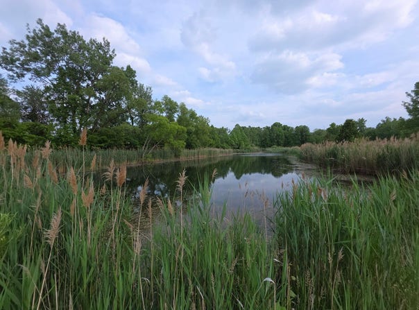 11856 W Snyder Road, Westville, IN 46391