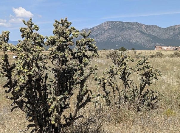 Weimer N Road, Stanley, NM 87056