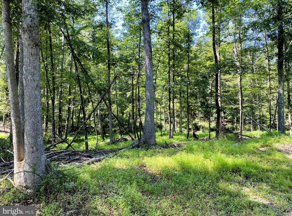 11115 HINKLE ROAD NE, CUMBERLAND, MD 21502