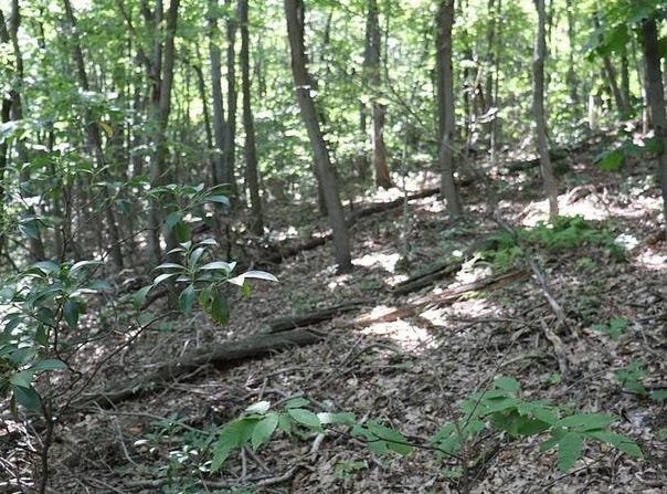 Lot 319 Ridge Run, Claysburg, PA 16625