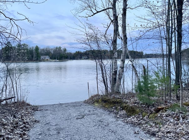 4196 Wolf Lake Drive lot: #3 Lake Access Lot, Lewiston, MI 49756