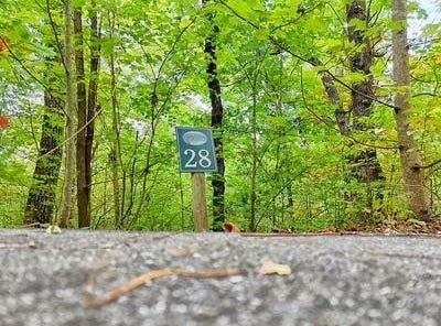 Skyview Drive lot: 28, Hayesville, NC 28904