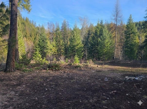 2584 BRIDGEMAN RETTINGER RD, KETTLE FALLS, WA 99141