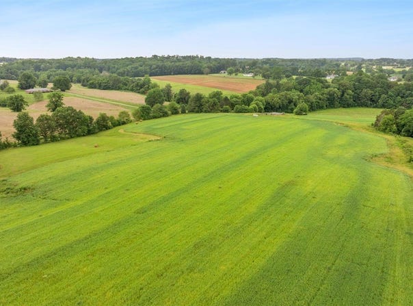 70.27 Acres Holland Road, Scottsville, KY 42164