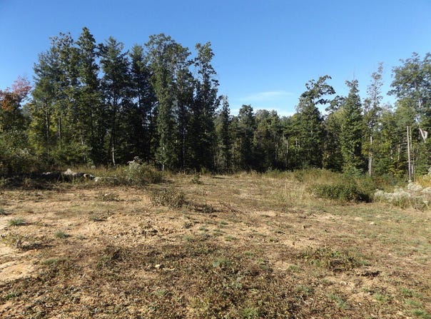 Deer Ridge Rd. lot: 3, Hillsville, VA 24343