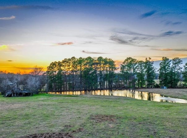 000 E FM 1794, De Berry, TX 75639