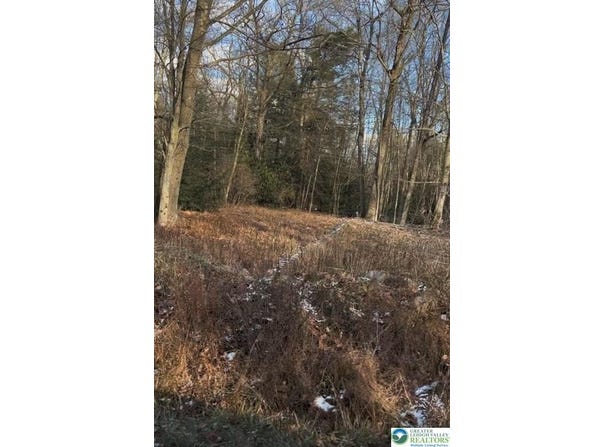 N Sycamore Drive, Penn Forest Twp, PA 18229