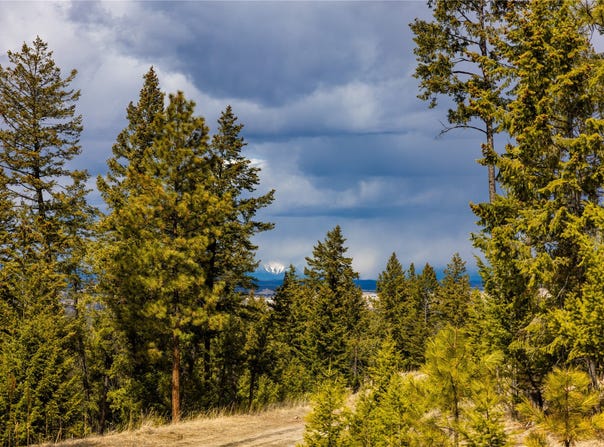 1243 Tobacco Valley View Road, Eureka, MT 59917