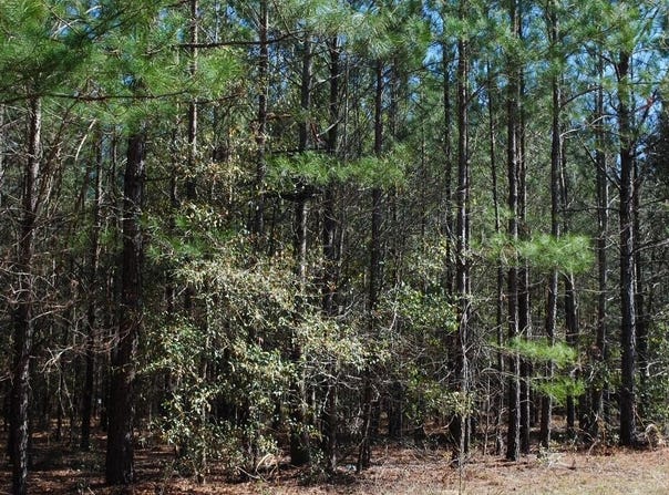 0 Hannah Road, Eastman, GA 31023