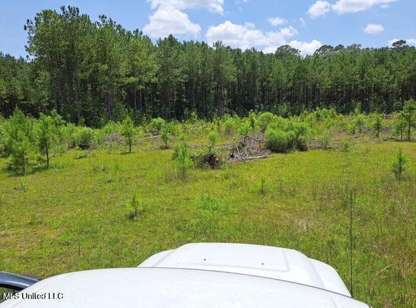 0 0 Us 49 Highway, Mendenhall, MS 39114