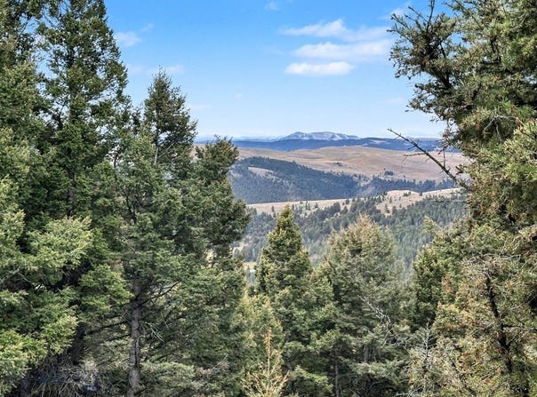 30 Bunks Trail, Ennis, MT 59729