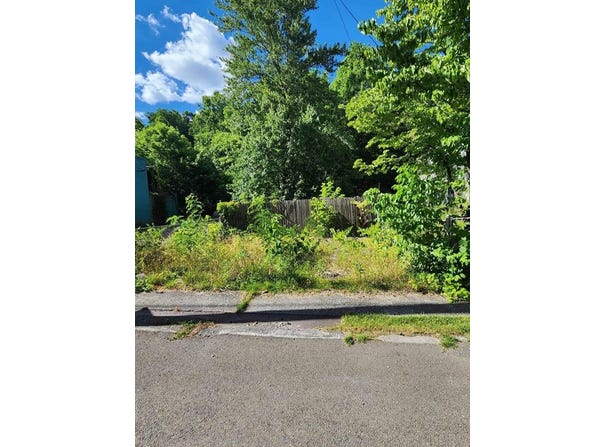 65 Creekside Dr, NORTHFORK, WV 24862