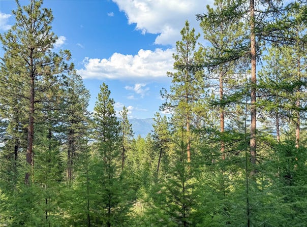 148 Tiny Acres Trail, Rexford, MT 59930