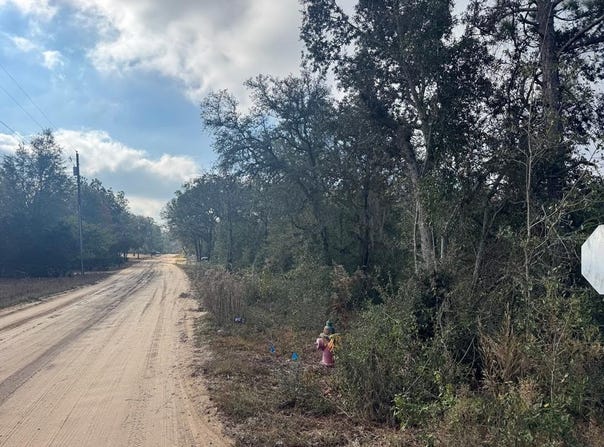 Lake Park St Tract 3, Douglas, GA 31533
