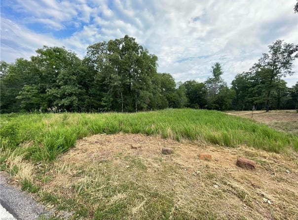 TBD Beverly Hills DR lot: 42 And 43, Van Buren, AR 72956