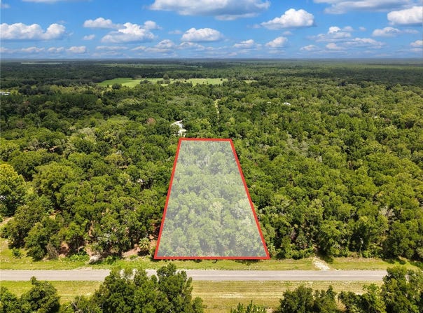 NE 410TH Avenue, OLD TOWN, FL 32680
