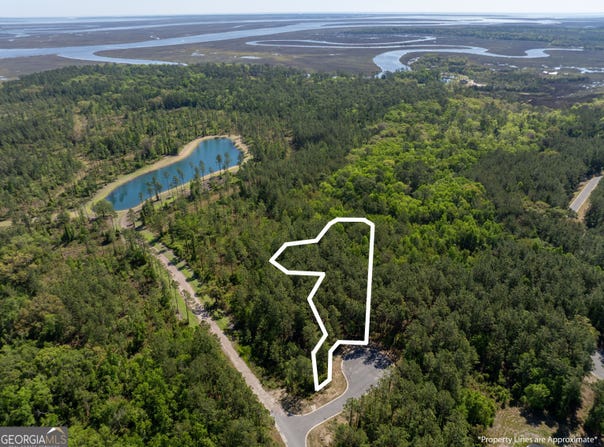 Lot 221 Clam, Waverly, GA 31565