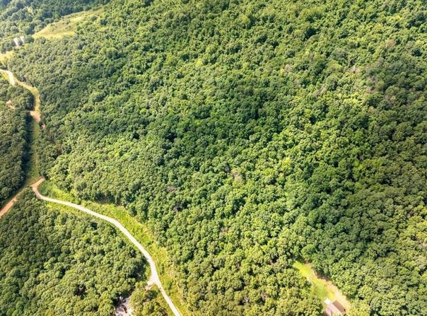 0000 NC 6277, Jasper, AR 72641