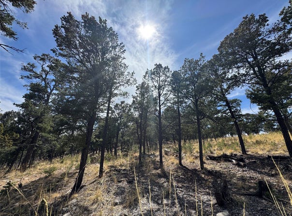 Lot 25, Pecos, NM 87552