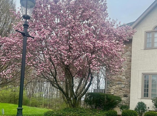 210 CAMBRIDGE CHASE, EXTON, PA 19341