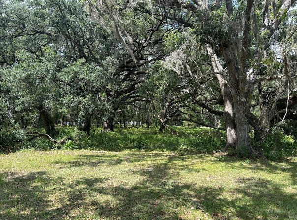 Tbd (lot #17) SE 192ND COURT, MORRISTON, FL 32668