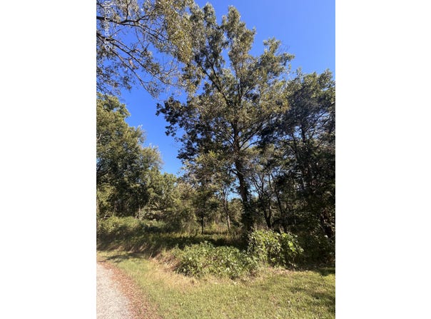 Betty Walton Road, Como, MS 38619