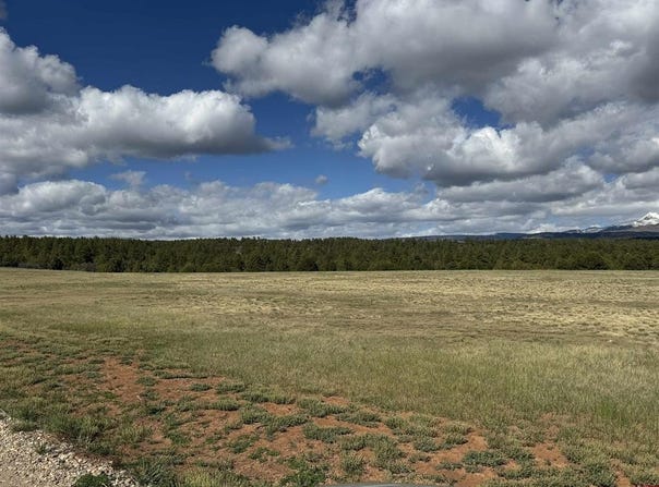 Road 39.2, Mancos, CO 81328