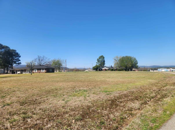 Wayne Cr, Mena, AR 71953