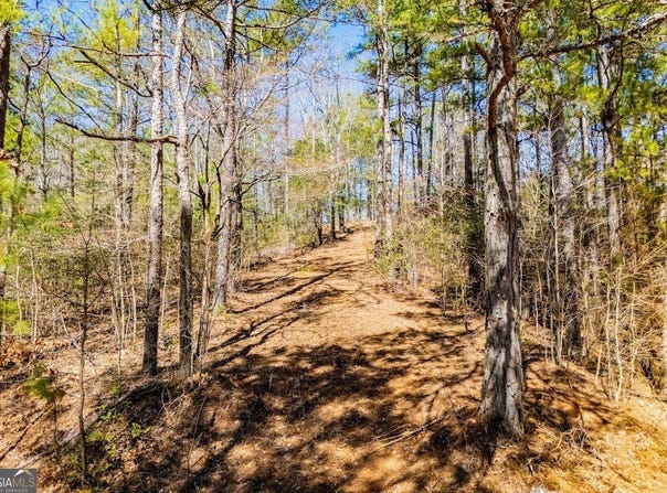 0 County Road 269, Wedowee, AL 36278