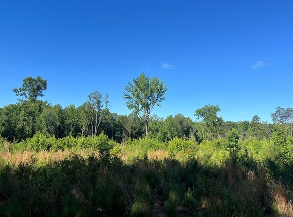 7.42 AC Cole Lane, Scottsburg, VA 24589