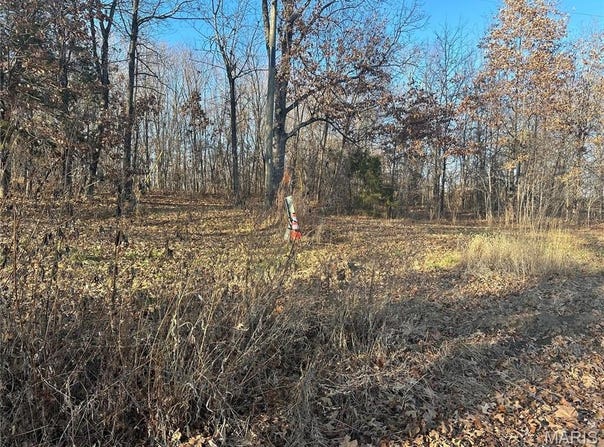35 Wagon Creek Loop, Creal Springs, IL 62922